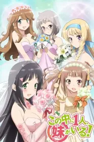Assistir Kono Naka ni Hitori, Imouto ga Iru!