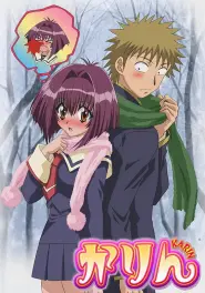 Assistir Karin