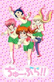 Assistir Chuu-Bra!!