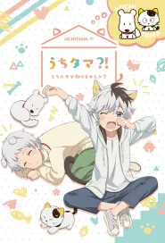 Assistir Uchitama! Have you seen my Tama?