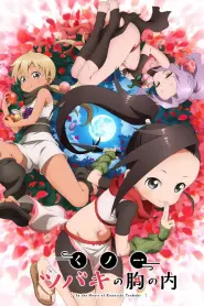 Assistir In the Heart of Kunoichi Tsubaki
