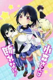 Assistir Komori-san Wa Kotowarenai!