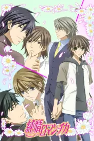 Assistir Junjo Romantica S3