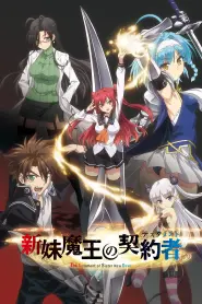 Assistir The Testament of Sister New Devil S2